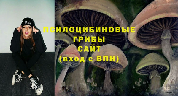 крисы Семилуки