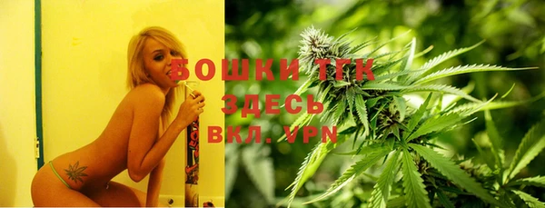 винт Алексеевка