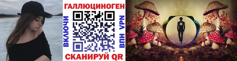 Галлюциногенные грибы Cubensis  Волоколамск 