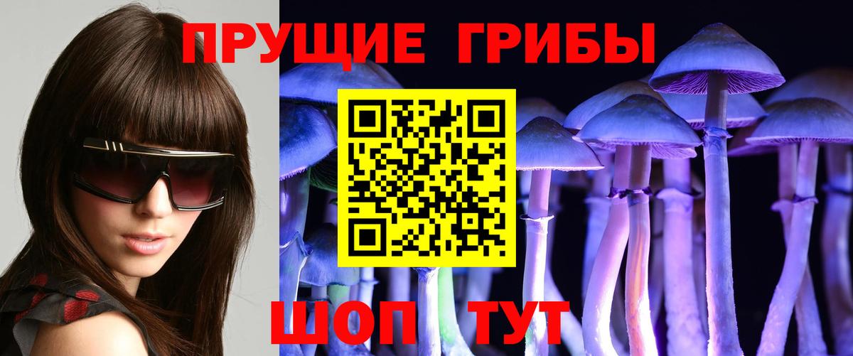 Галлюциногенные грибы Cubensis Волоколамск